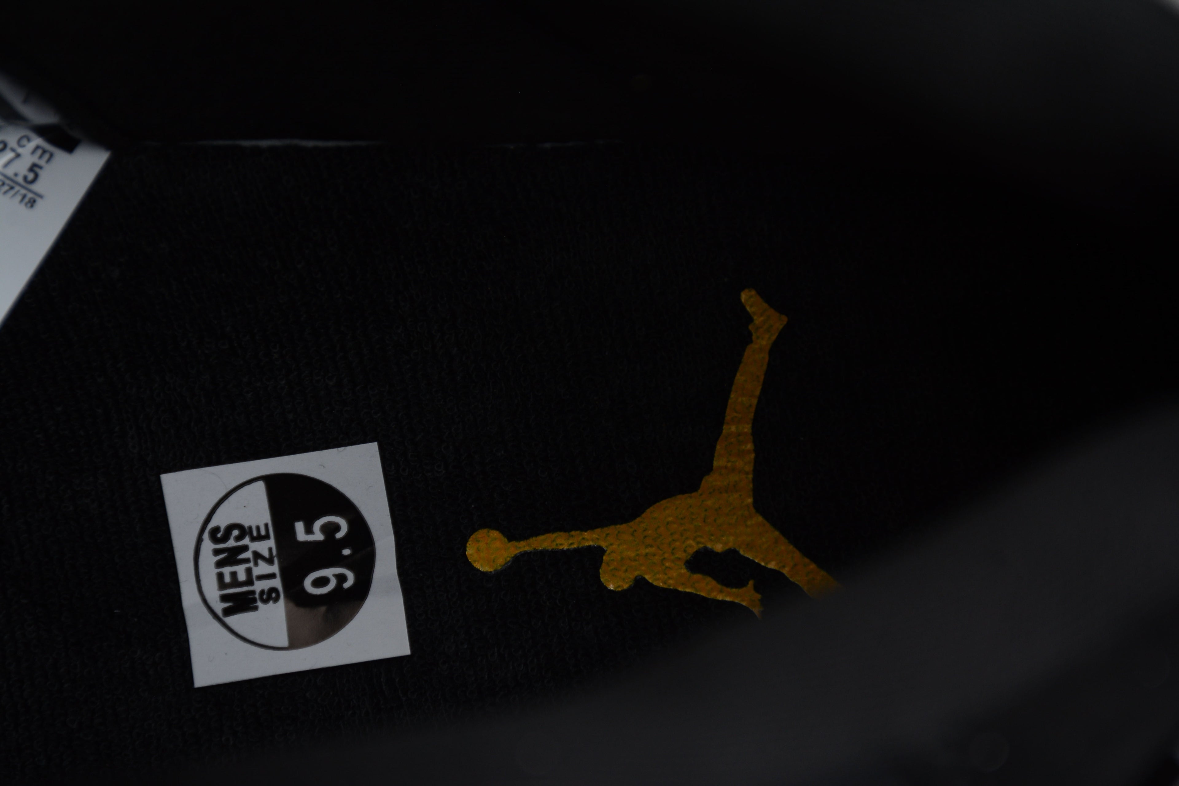 AJ 11 "Gamma Black"