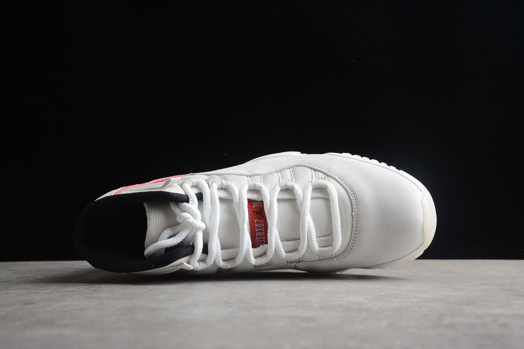 AJ 11 "Platinum Tint"