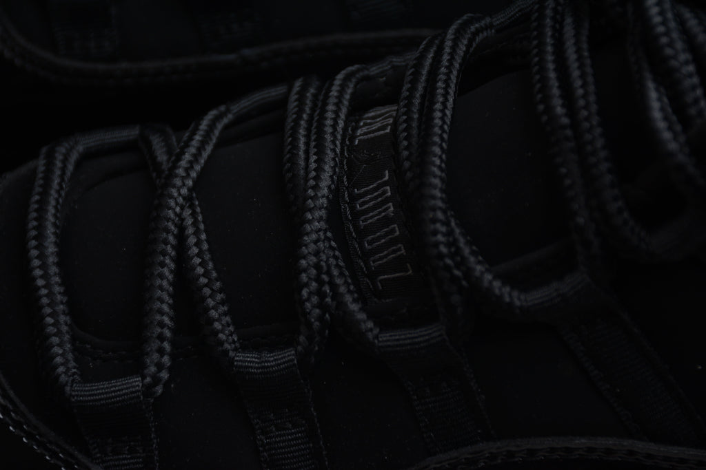 AJ 11 "Gamma Black"