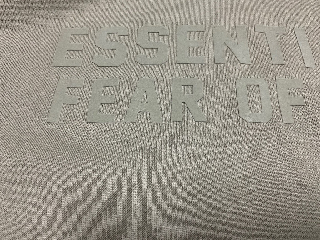 FOG x Essentials Hoodie 22FW